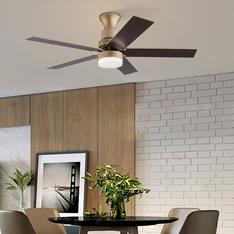 Carthel 5 - Blade 6 Speed Ceiling Fan Light with Remote Control for Bedroom Kitchen , Gold