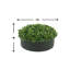 Arrangement de buis d'extérieur certifié UV pour jardinière ronde