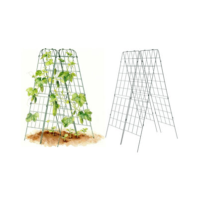 Classic 63" H A-Frame Metal Garden Trellis