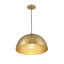 Luminaire suspendu 1 lumière Darrah en laiton naturel-274952324
