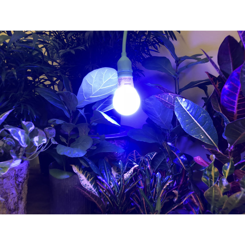 Miracle LED Growing Kit, Yellow