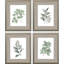 White Flowers S/4 Set by Giclee Studio