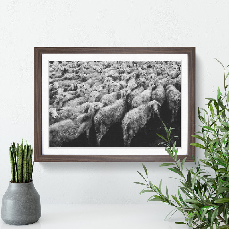 Flock of Sheep Vol.1 - Framed Print, Walnut Framed, 36cm H x 48cm W x 2cm D
