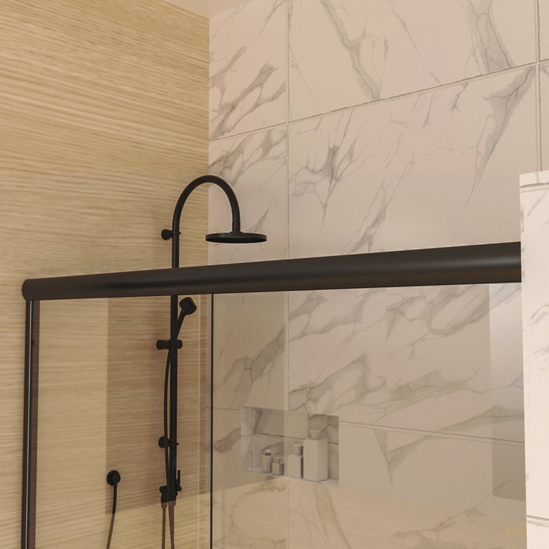 60 po X 70 po Porte de douche coulissante traditionnelle en noir mat avec verre transparent