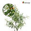 Olive artificielle 49 po en pot