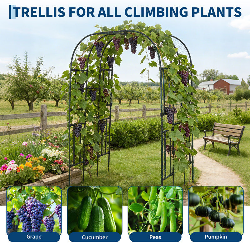 Trellis Garden Arch