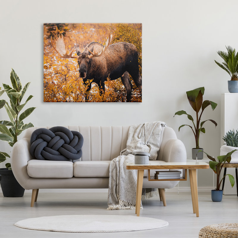«Moose In Autumn Foliage» par Daniel Sproul, H 36 po x l 48 po x P 1,5 po