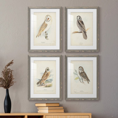 Barn Owl - ensemble de 4 reproductions de cadres photo