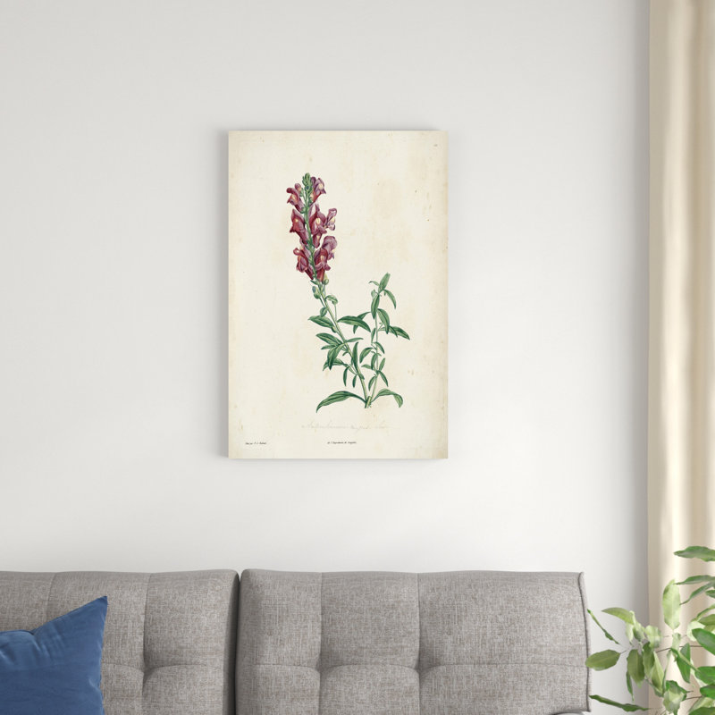Botanique traditionnel I, H 30 po x l 20 po x P 1,25 po