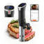 Cuiseur de précision sous vide, machine de cuisson sous vide 1100 W, circulateur à immersion WIFI avec affichage numérique à DEL, chauffage rapide, contrôle précis de la température et de la minuterie, acier inoxydable SUS304