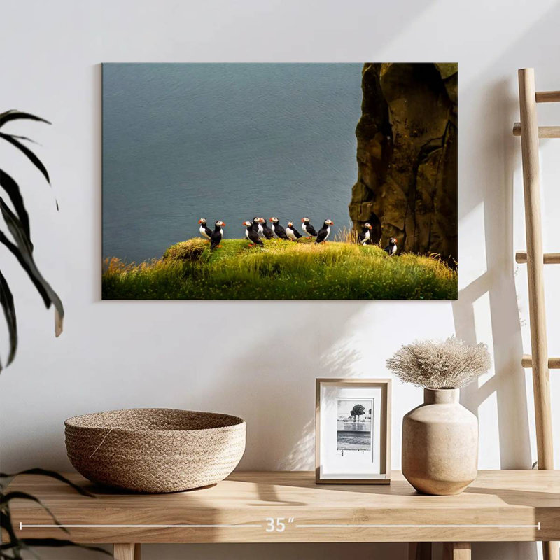 Crowle Cliff Puffin Birds