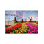 Boze Wall Decor
