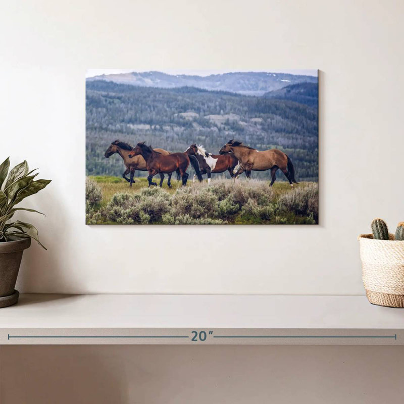 Brampt Mountain Horses, H 8 po x l 12 po