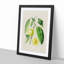 Prune Fruit Illustration - Framed Print-55616314-55616315