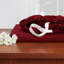 Ensemble de draps luxueux en microfibre-1335429103-1335429099