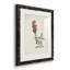 Traditional Botanical I - Ensemble de 4 peintures encadrées-1560402231-1560402224