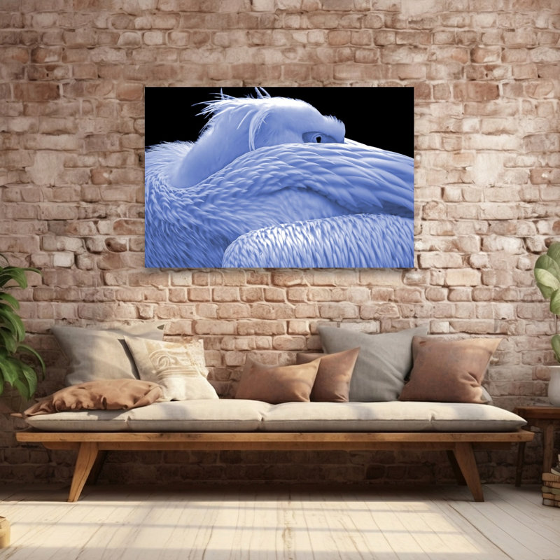 Serene Pelican Slumber Peaceful Serene Tranquil Bird Pelican Nature Portrait Wall Art Print 1 Piece Wrapped Canvas Wall Art
