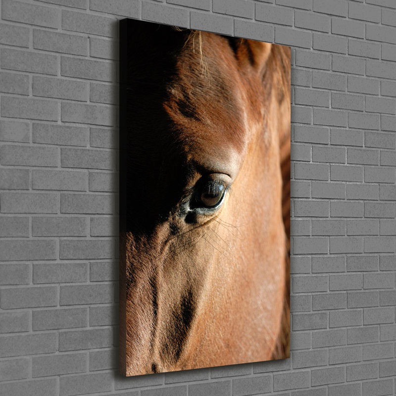 Horse - Wrapped Canvas Print