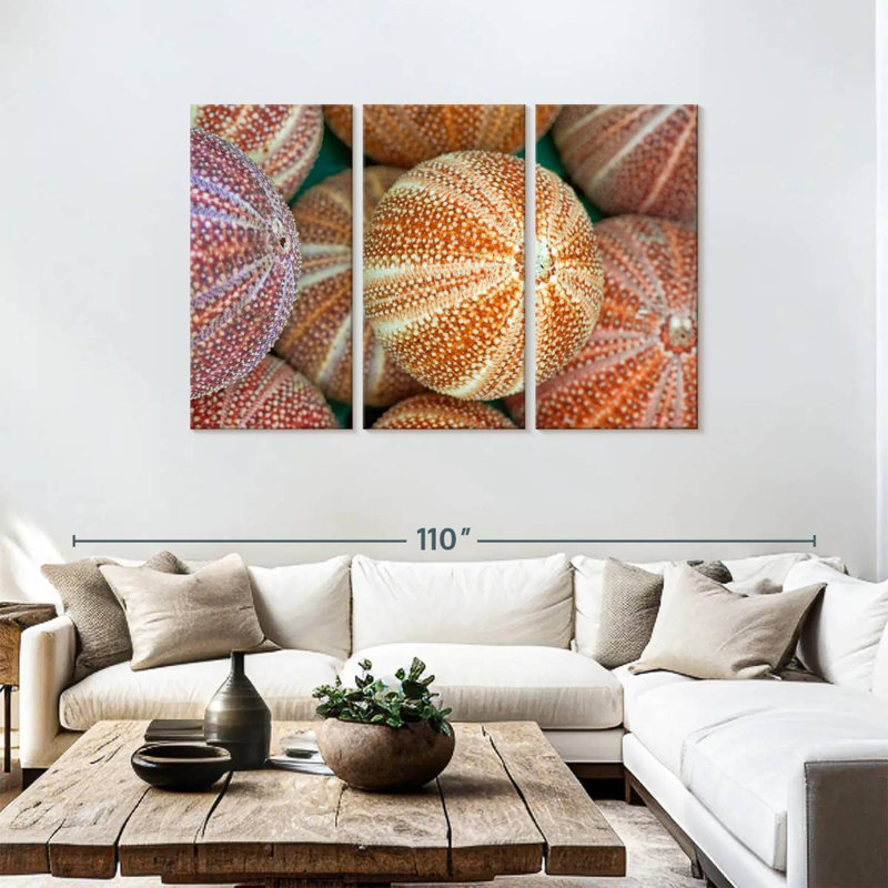 Striped Sea Urchin Shells, 48" H x 74" W