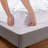 Claritin Allergen Barrier Mattress Pad-1668973136