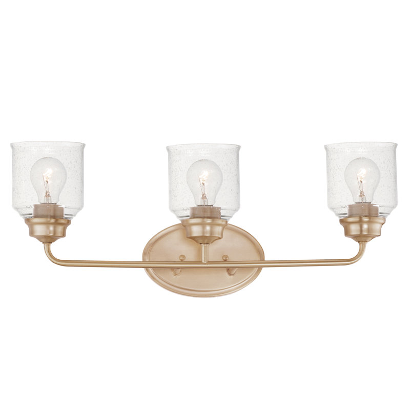 3 - Light Dimmable Vanity Light