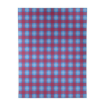 Plaid Indoor Rug