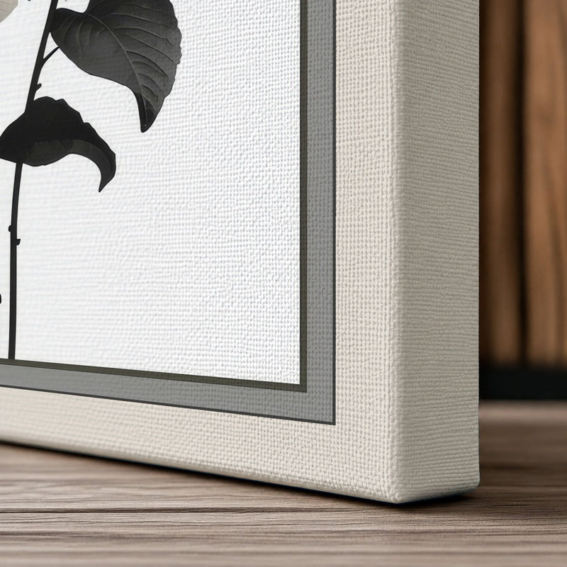 Hydrangea Study Botanical - Wrapped Canvas, 18x12 - 45.7 x 30.5 cm, Cream Border