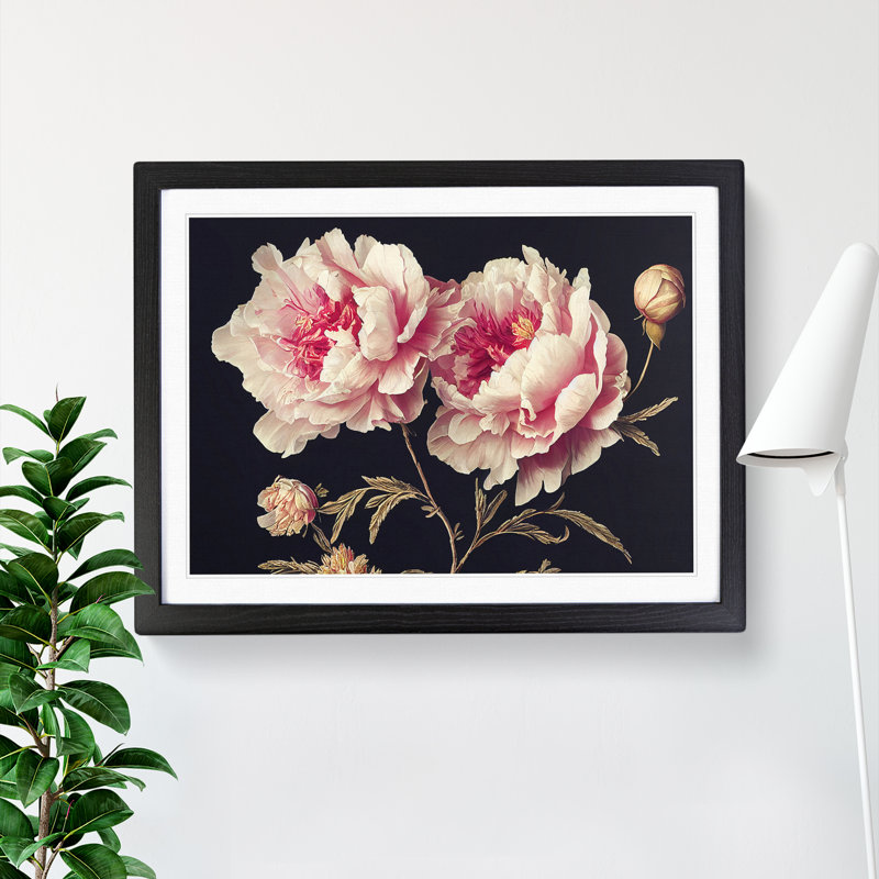 XH1022-9695X Vivacious Peony Flowers - Single Picture Frame Print, Black Framed, 46cm H x 64cm W x 2cm D