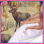 Literie de wapiti-955879417