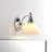 Cornville Iron Armed Sconce
