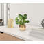 Faux Eucalyptus Plant in Ceramic Planter