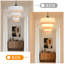 3 - Light Stainless Steel Caged Pendant