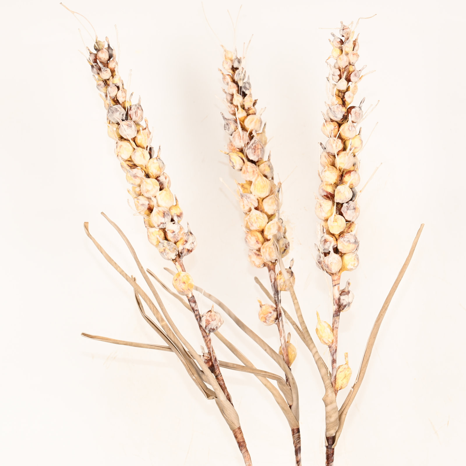 Mixed Assortment Stems