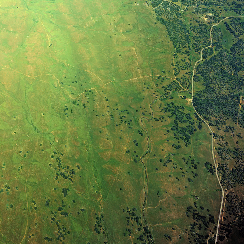 California Green Pastures - Wrapped Canvas Print, 122cm H x 122cm W x 3.8cm D