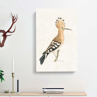 Hoopoes Bird by Von Wright - Wrapped Canvas