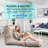 Deonte 3'' Futon  Mattress