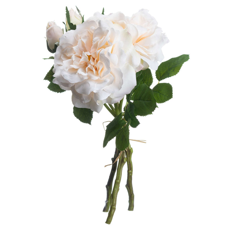 Anastasija Arrangement