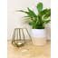 Glass Tabletop Tealight Holder-518204811