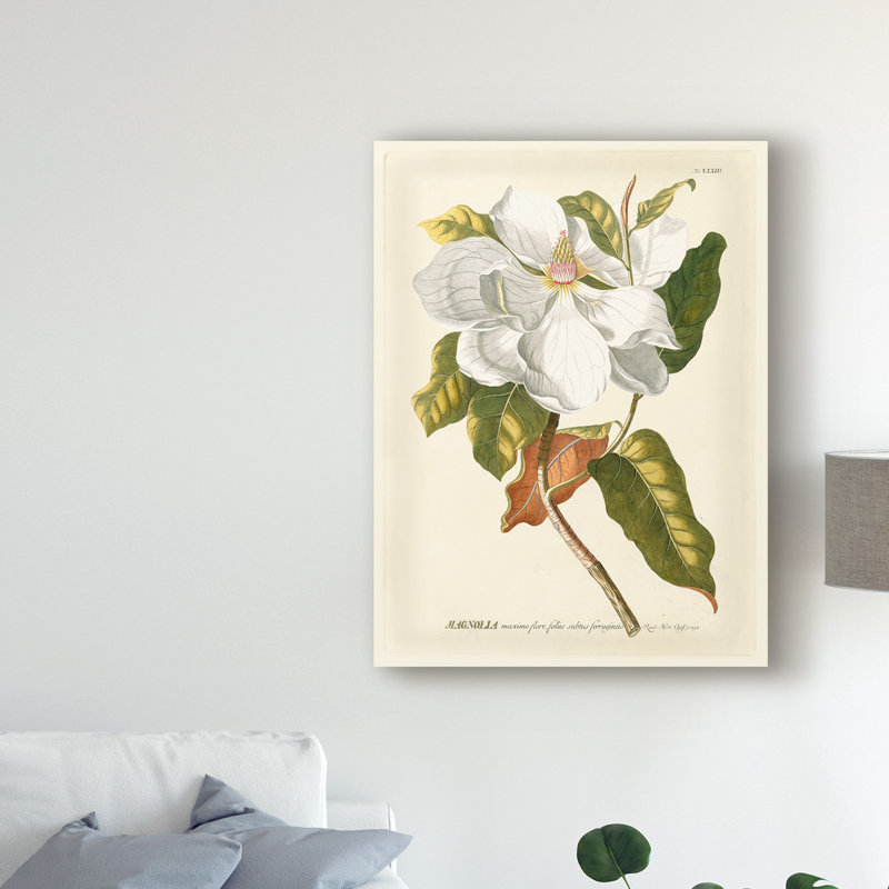 « magnifique magnolias i », reproduction de peinture à l’acrylique sur toile tendue, H 24 po x l 18 po x P 2 po