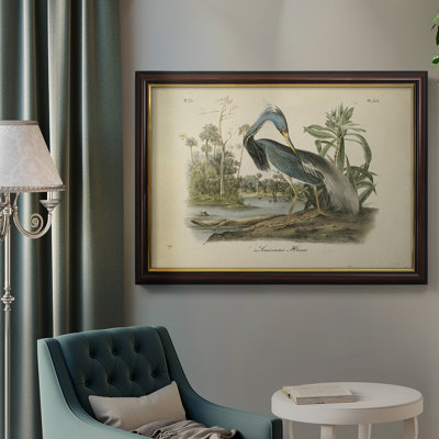 Audubons Louisiana Heron, toile encadrée de qualité supérieure - prête à être accrochée