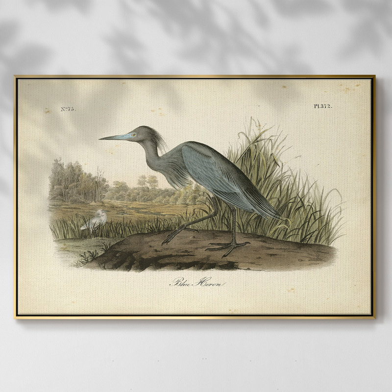 " Audubons Blue Heron " Print, 25" H x 37" W x 2" D, Gold