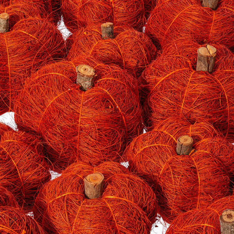 Vickerman Natural Botanicals Dried 2.5-3 inch Hand Crafted Coconut Coir Pumpkin. 24 pumpkins in a bag. 12 pieces of 2.5 inch pumpkins and 12 pieces of 3 inch pumpkins.