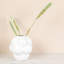 Vase en grès Bulbous-1237606684