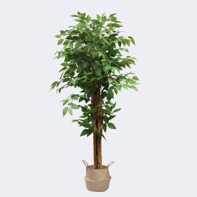 Pot artificiel avec ficus et ruppie maritime avec poignées