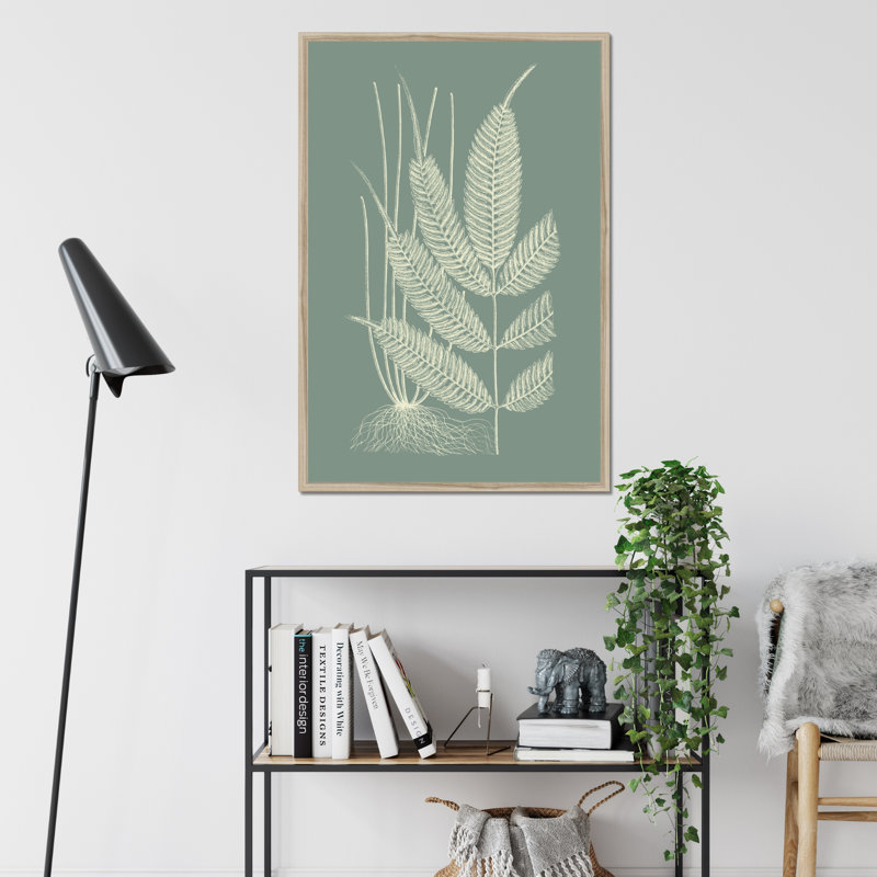 Ferns on Sage II by Vision Studio - Wrapped Canvas Painting Print, 50cm H x 34cm W, Natural Wood Framed Paper Print