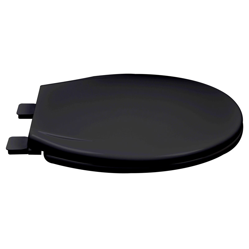 Round Toilet Seat and Lid, Black