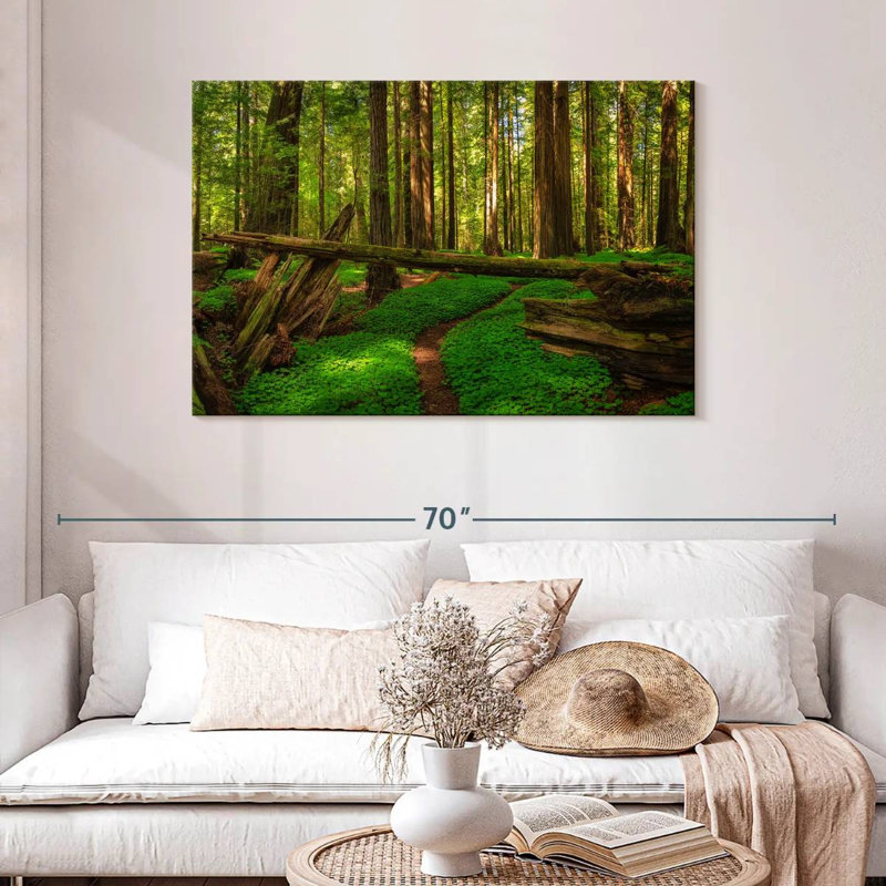 Forêt de séquoias à Harnek, H 30 po x l 45 po