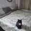 Photos des clients 1 de 2