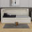 Upholstered Platform Bed With USB Ports,LED Belt And Trundle-1513865255