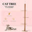 Arbre à chat, centre d'activités pour arbre à chat